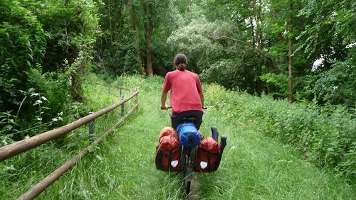 Fahrradfahrer im dichten Gras.