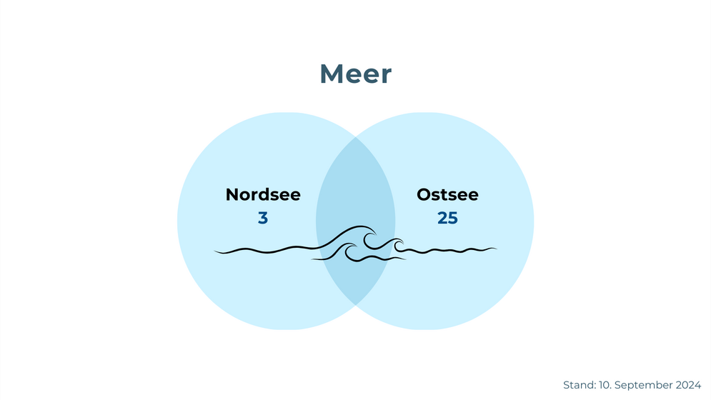 Statistik Ertrinken in Deutschland: Opfer in Meeren. Sommerbilanz 2024 der DLRG